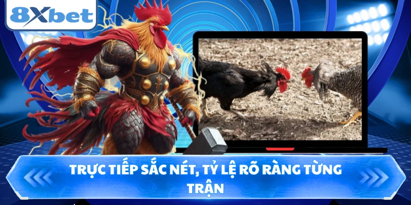 Trực tiếp sắc nét, tỷ lệ rõ ràng từng trận